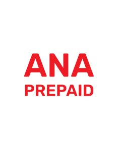 ANA TECH PLUS